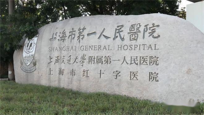 中企譽品銀湖灣官方發布 銀湖映境譽筑匠心 健康咨詢服務亮相
